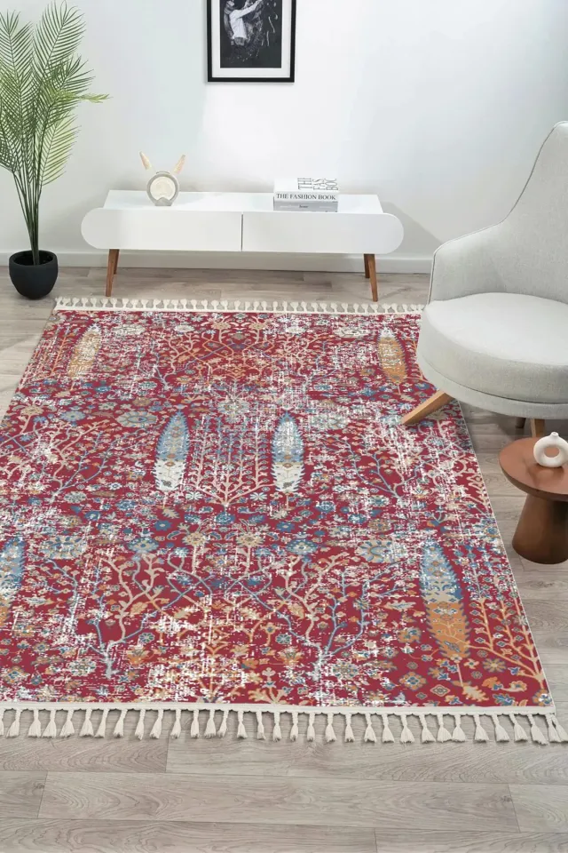 Antique AN004 - Etnik Desenli Vintage Hav Toz Vermez Halı