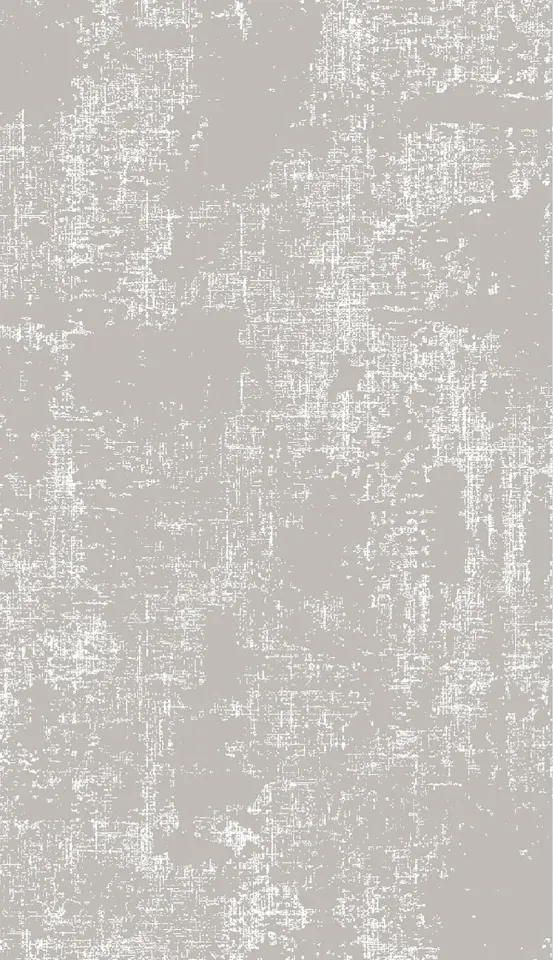 Antique AN007 - Gri Vintage Hav Toz Vermez Halı 80x300